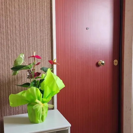 Special Guest Appartement